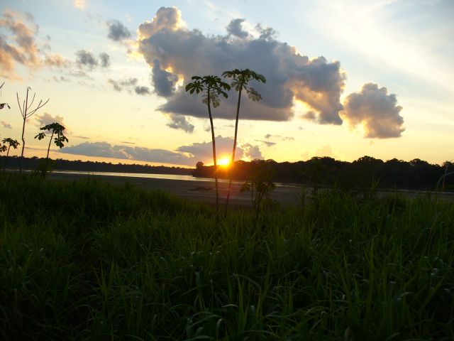 Amazon Sunset