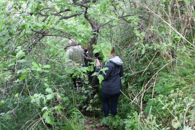 "We are now entering Vietnam"