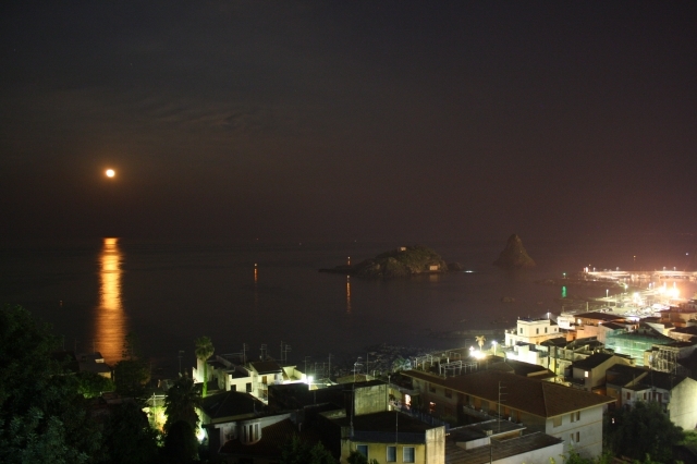 View from the kitchen